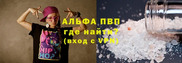 прущие грибы Ростов