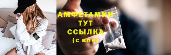прущие грибы Ростов