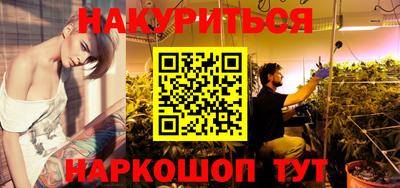 мдпв Гатчина