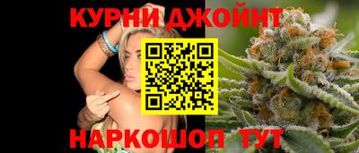 мдпв Гатчина