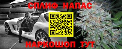 мдпв Гатчина