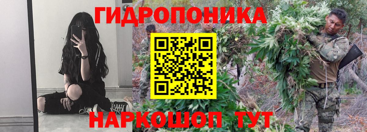 Бошки Шишки OG Kush  Вход с VPN  Конопля Amnesia  Канабис марихуана  Новотроицк 